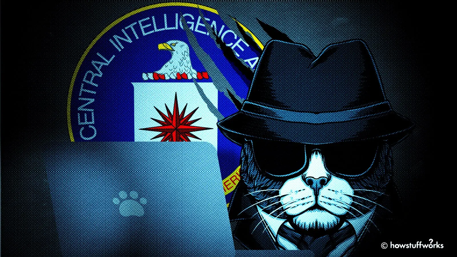 cia cats